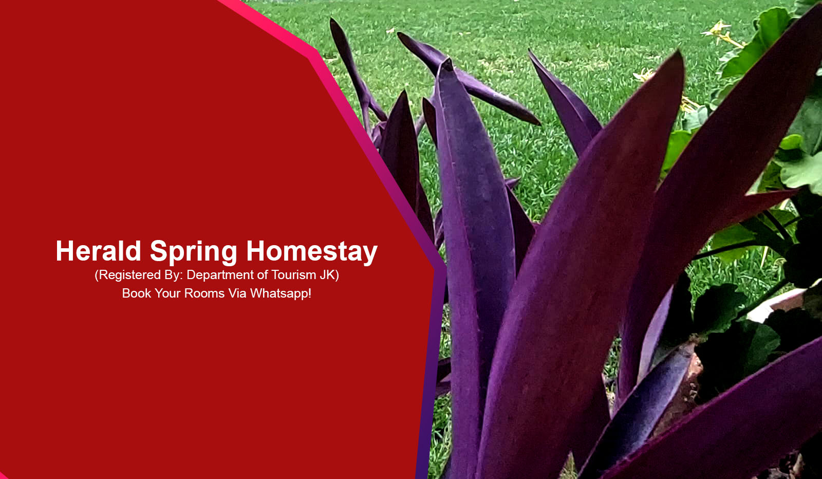 homestay